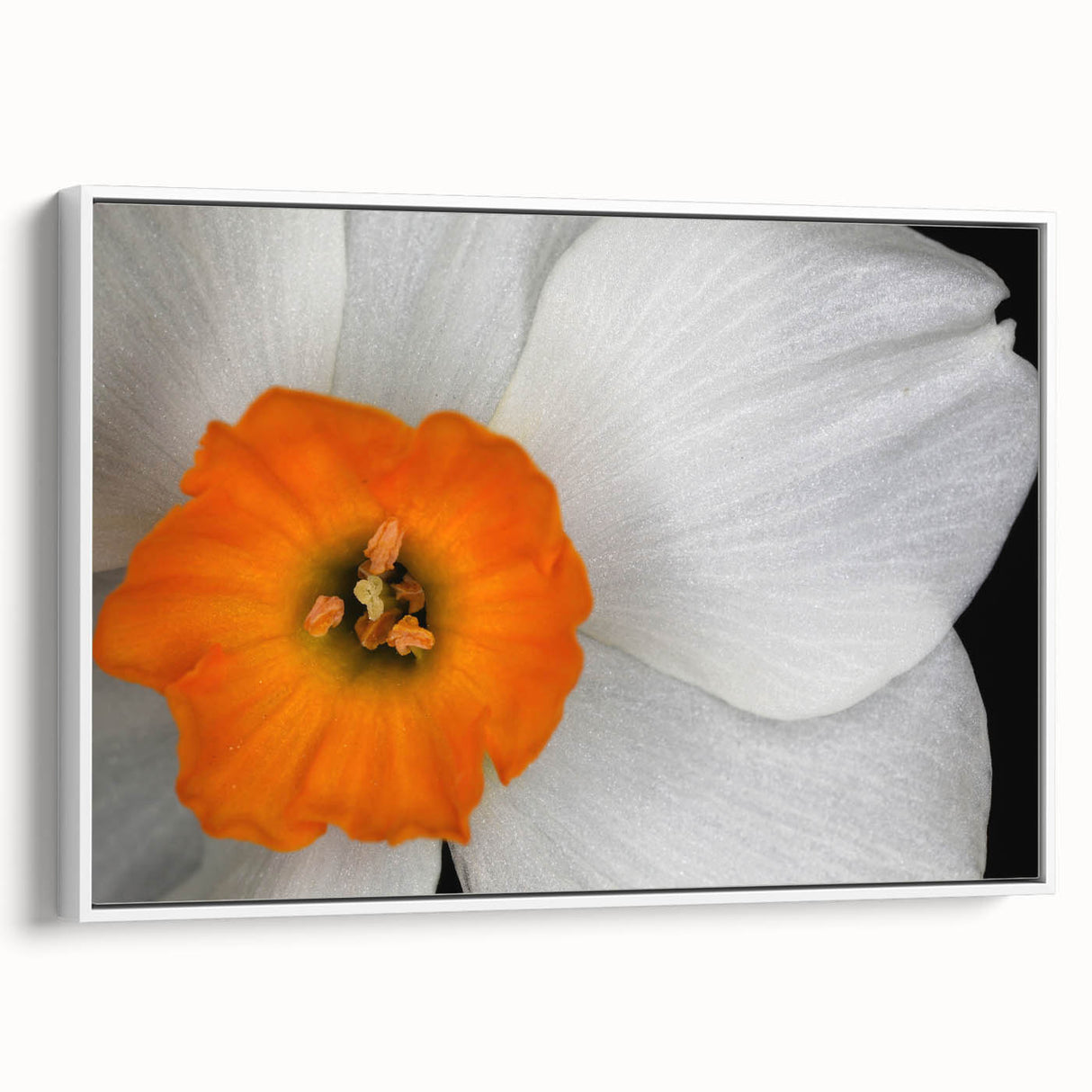 Framed botanical wall art featuring a vibrant geranium design on canvas, showcasing intricate floral details and a white frame, perfect for home decor.
