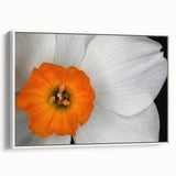 Framed botanical wall art featuring a vibrant geranium design on canvas, showcasing intricate floral details and a white frame, perfect for home decor.