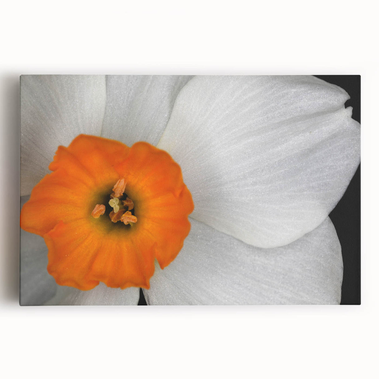Stretched canvas wall art featuring a vibrant botanical geranium design in vivid colors, perfect for enhancing home decor with a natural aesthetic.