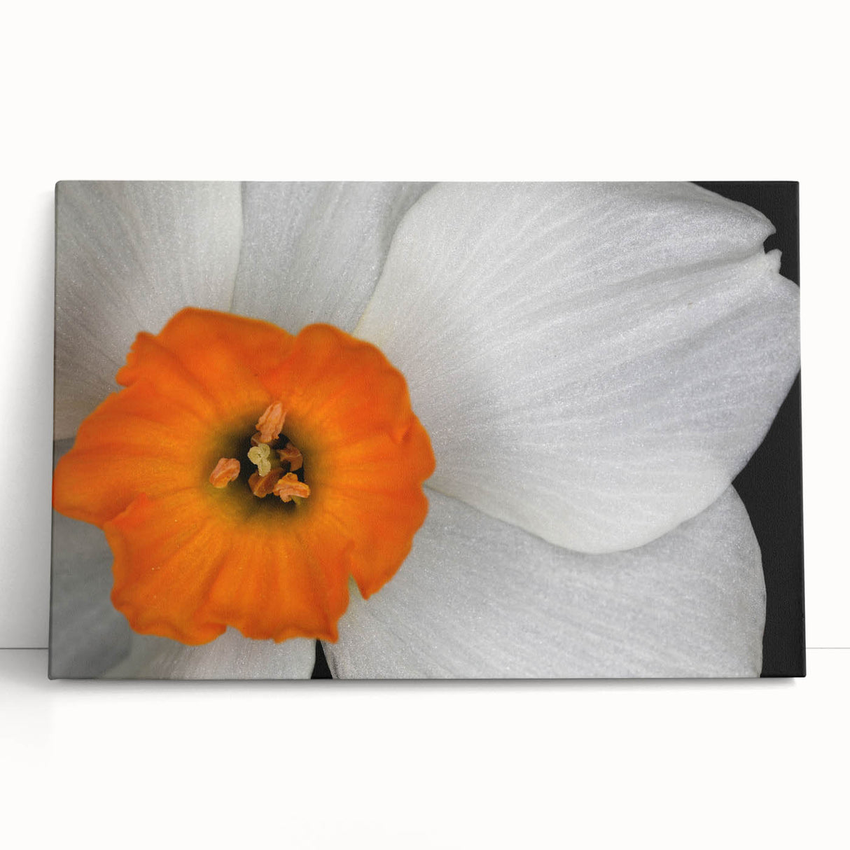 Vibrant botanical geranium wall art design on stretched canvas, featuring rich greens and pinks, perfect for home decor and adding a touch of nature.