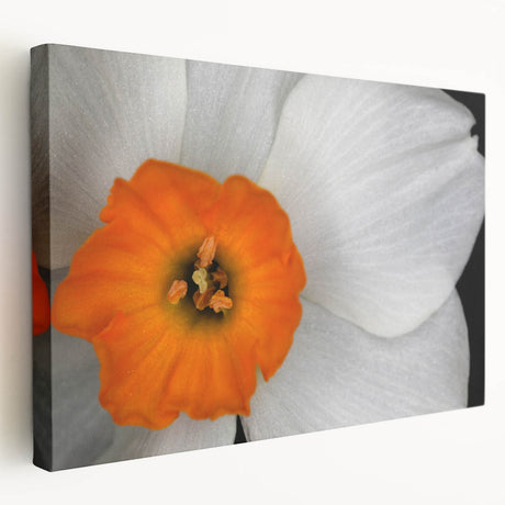 Stretched canvas displaying a vibrant botanical geranium design, showcasing rich greens and pinks, ideal for enhancing home decor with a natural touch.