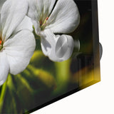 Close-up of a vibrant botanical geranium wall art piece, featuring intricate floral details and rich colors, displayed on clear acrylic glass, perfect for home decor.