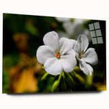 Acrylic glass wall art depicting a botanical geranium design, showcasing vibrant green and pink flowers. Side view highlights the sleek, modern frame ideal for home decor.