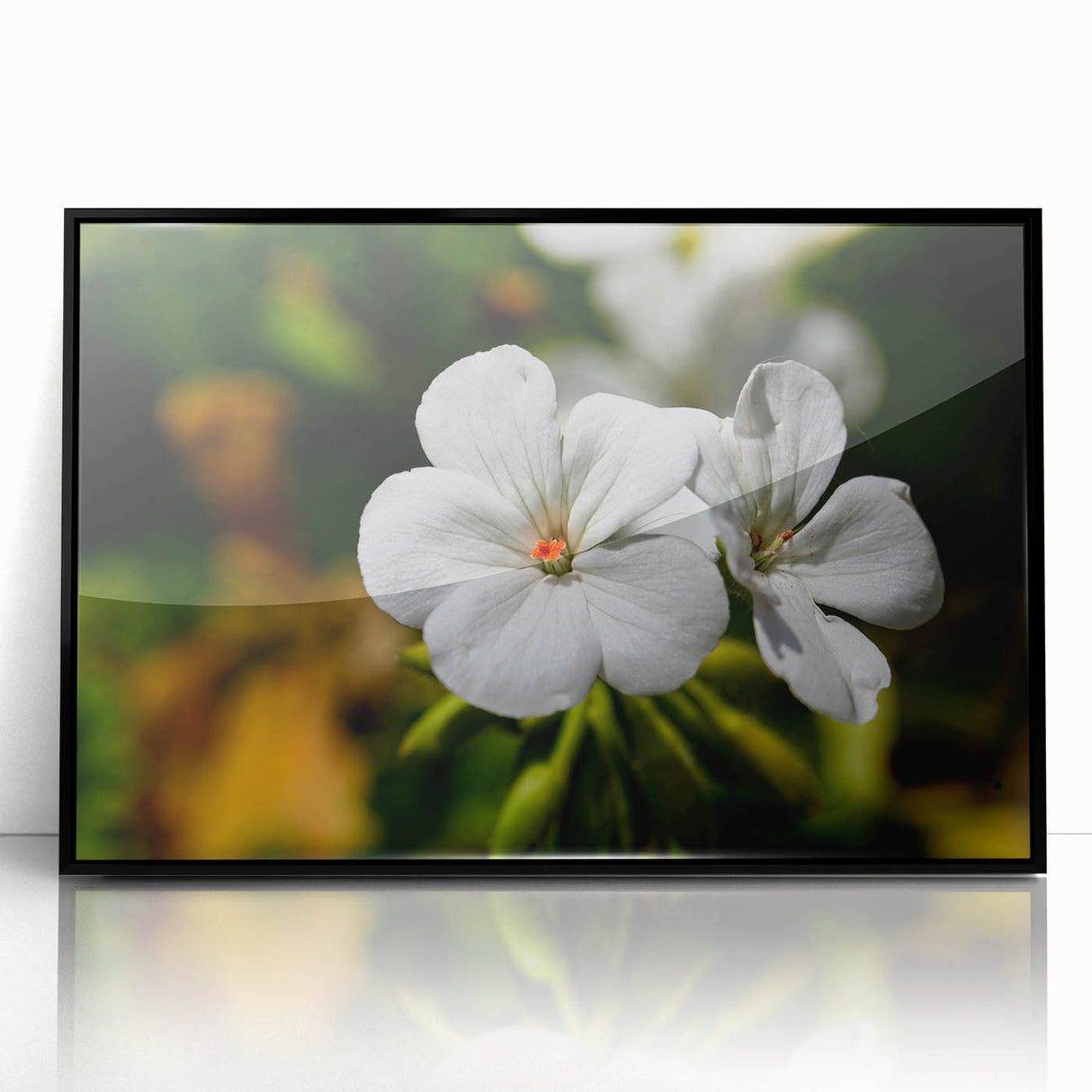 Framed botanical wall art featuring vibrant geranium flowers with a sleek black frame, perfect for enhancing home decor with a touch of nature.