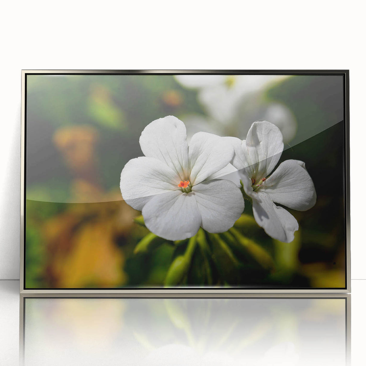 Framed botanical wall art design showcasing an intricate geranium illustration in vibrant colors, featuring a sleek silver frame and a modern aesthetic, perfect for home decor.