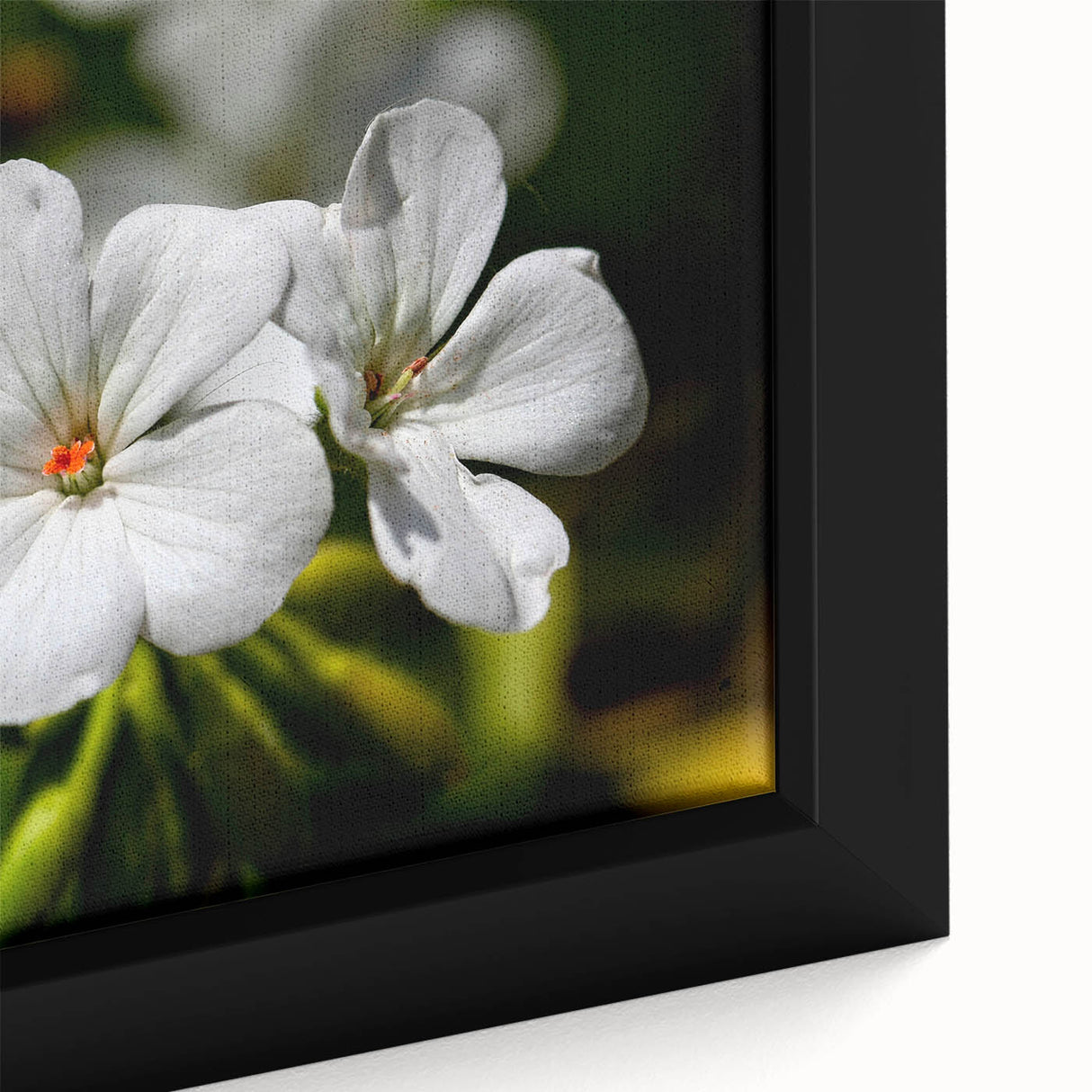 Close-up of a framed botanical wall art piece showcasing vibrant geranium flowers in rich hues of pink and green, perfect for home decor enhancement.