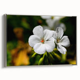 Framed botanical wall art featuring a geranium design in vibrant colors, set against a sleek silver frame, showcasing an elegant side view ideal for home decor.