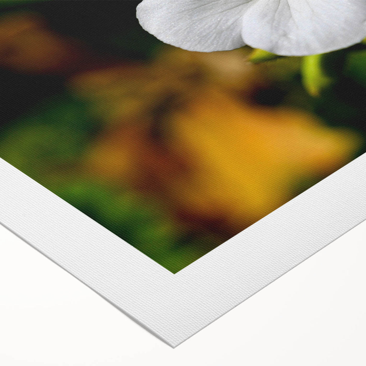 Botanical wall art featuring a vibrant geranium design on rolled canvas, showcasing intricate floral details and rich colors, perfect for enhancing home decor.