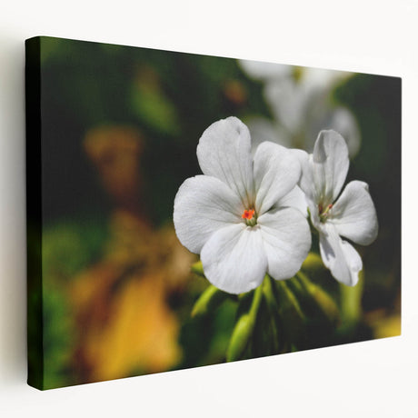 Stretched canvas wall art showcasing a botanical geranium design, featuring vibrant colors and detailed floral patterns, perfect for home decor.