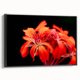 Framed botanical wall art showcasing a vibrant geranium design in shades of red and green, set against a sleek black frame, ideal for home decor enhancement.