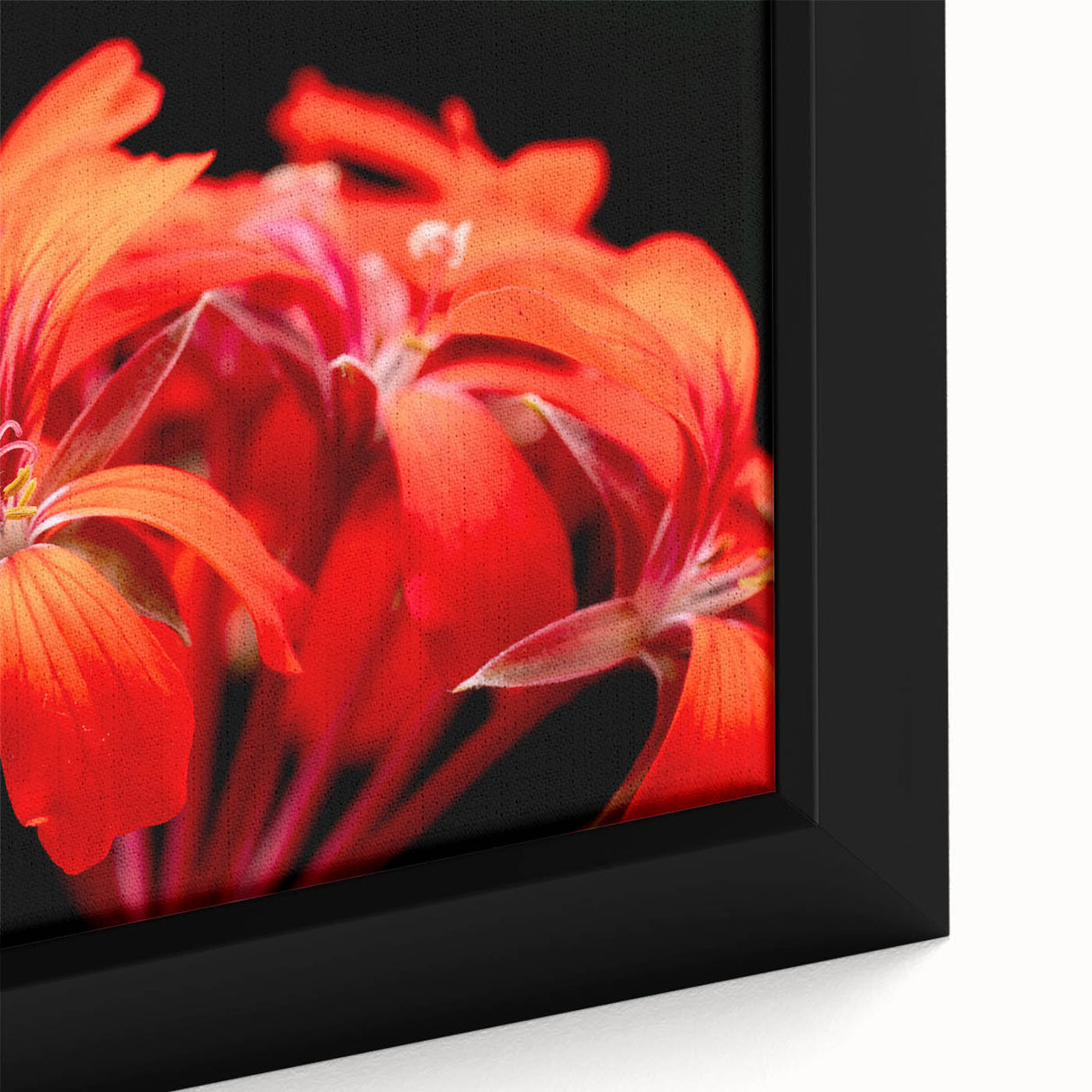 Framed close-up of a botanical geranium wall art piece showcasing vibrant pink and green hues, perfect for adding a touch of nature to home decor.