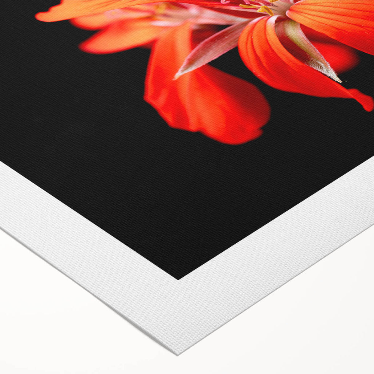 Botanical geranium wall art design on rolled canvas, showcasing vibrant green leaves and delicate pink flowers, ideal for home decor or nature enthusiasts.