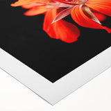 Botanical geranium wall art design on rolled canvas, showcasing vibrant green leaves and delicate pink flowers, ideal for home decor or nature enthusiasts.