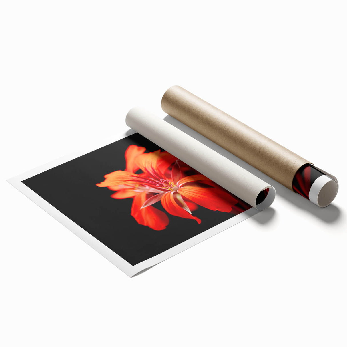 Botanical wall art print featuring vibrant geranium flowers in a colorful design, ideal for home decor, displayed rolled in a protective cardboard tube.