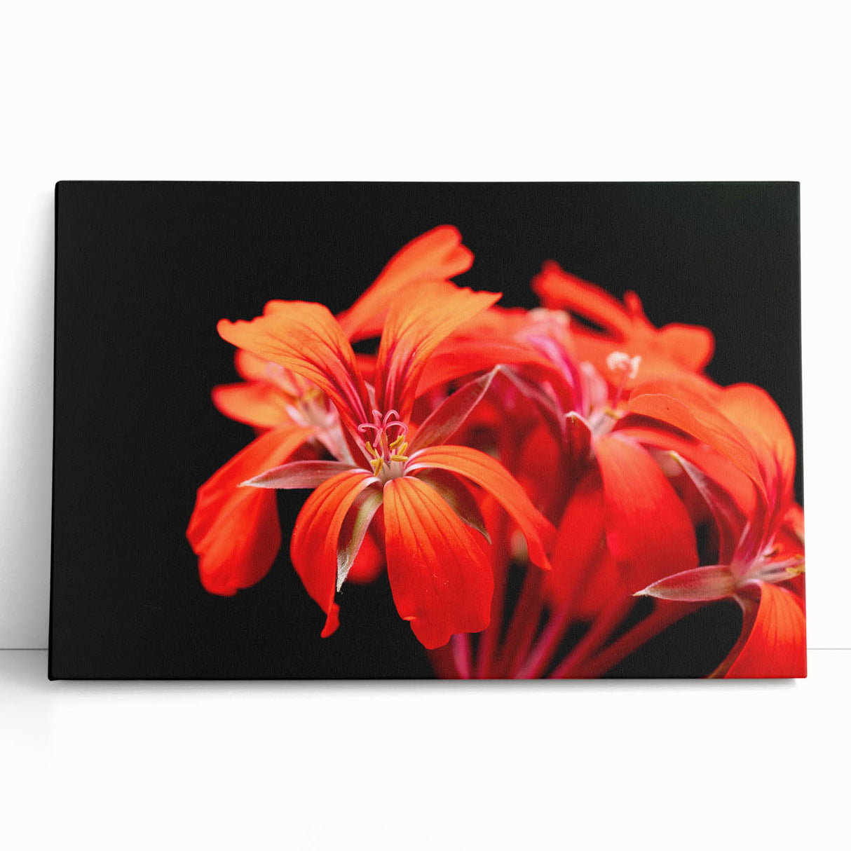 Stretched canvas wall art showcasing a vibrant botanical geranium design, featuring lush green leaves and delicate pink flowers, perfect for home decor.