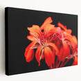 Stretched canvas showcasing a vibrant botanical geranium design with intricate details, presented in a side view highlighting its texture and colors, perfect for home decor.