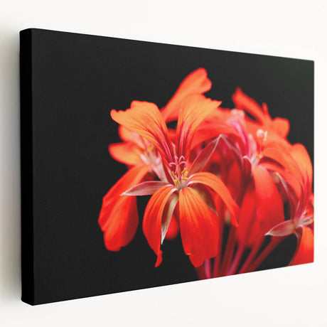 Stretched canvas showcasing a vibrant botanical geranium design with intricate details, presented in a side view highlighting its texture and colors, perfect for home decor.