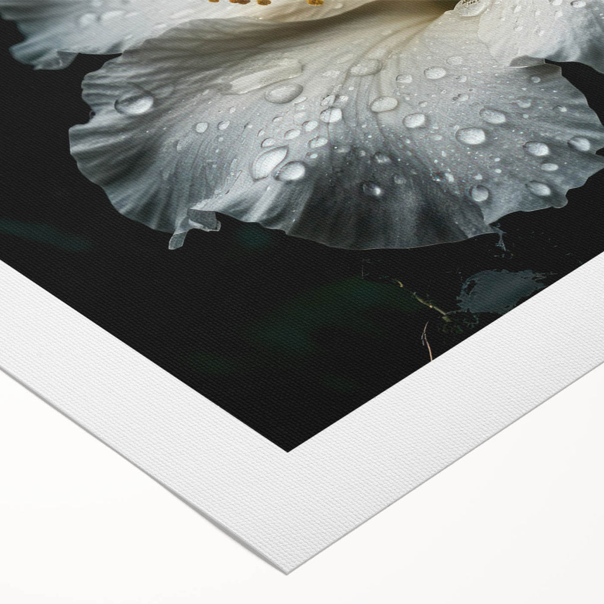 Vibrant rolled canvas showcasing a botanical hibiscus design in rich colors, perfect for home decor, emphasizing nature's beauty and artistic elegance.