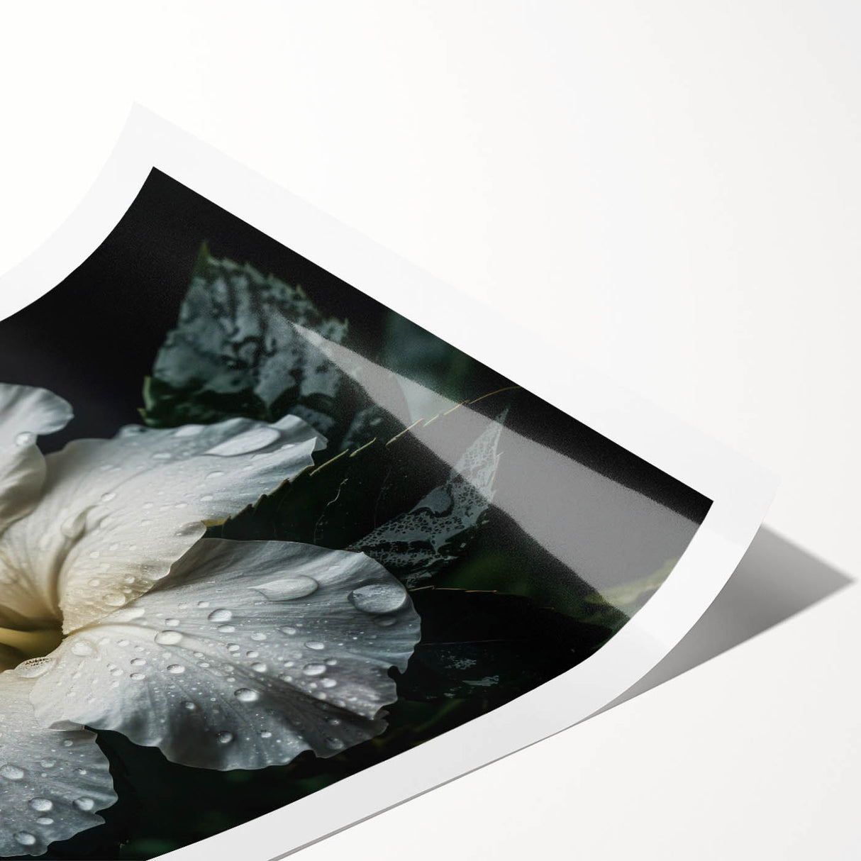 Vibrant botanical wall art print showcasing a detailed hibiscus flower design in rich colors, rolled for easy shipping in a sturdy cardboard tube. Perfect for home decor enthusiasts.