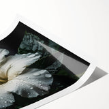 Vibrant botanical wall art print showcasing a detailed hibiscus flower design in rich colors, rolled for easy shipping in a sturdy cardboard tube. Perfect for home decor enthusiasts.