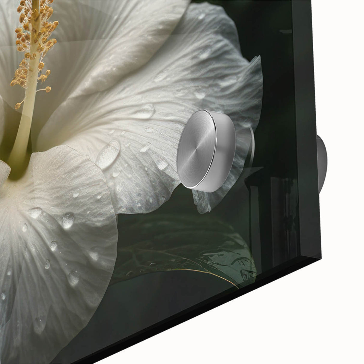 Close-up view of a vibrant hibiscus floral design on acrylic glass wall art, showcasing intricate botanical details and vivid colors, ideal for home decor.