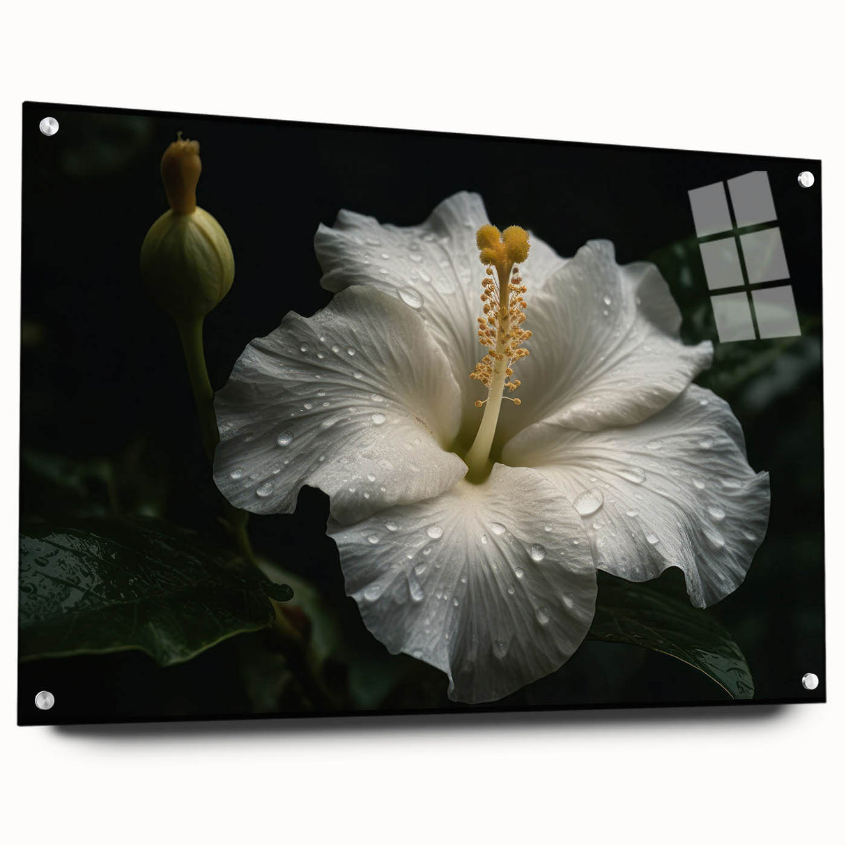 Acrylic glass wall art showcasing a vibrant hibiscus botanical design, side view displaying mounting pins, perfect for home decor and nature enthusiasts.