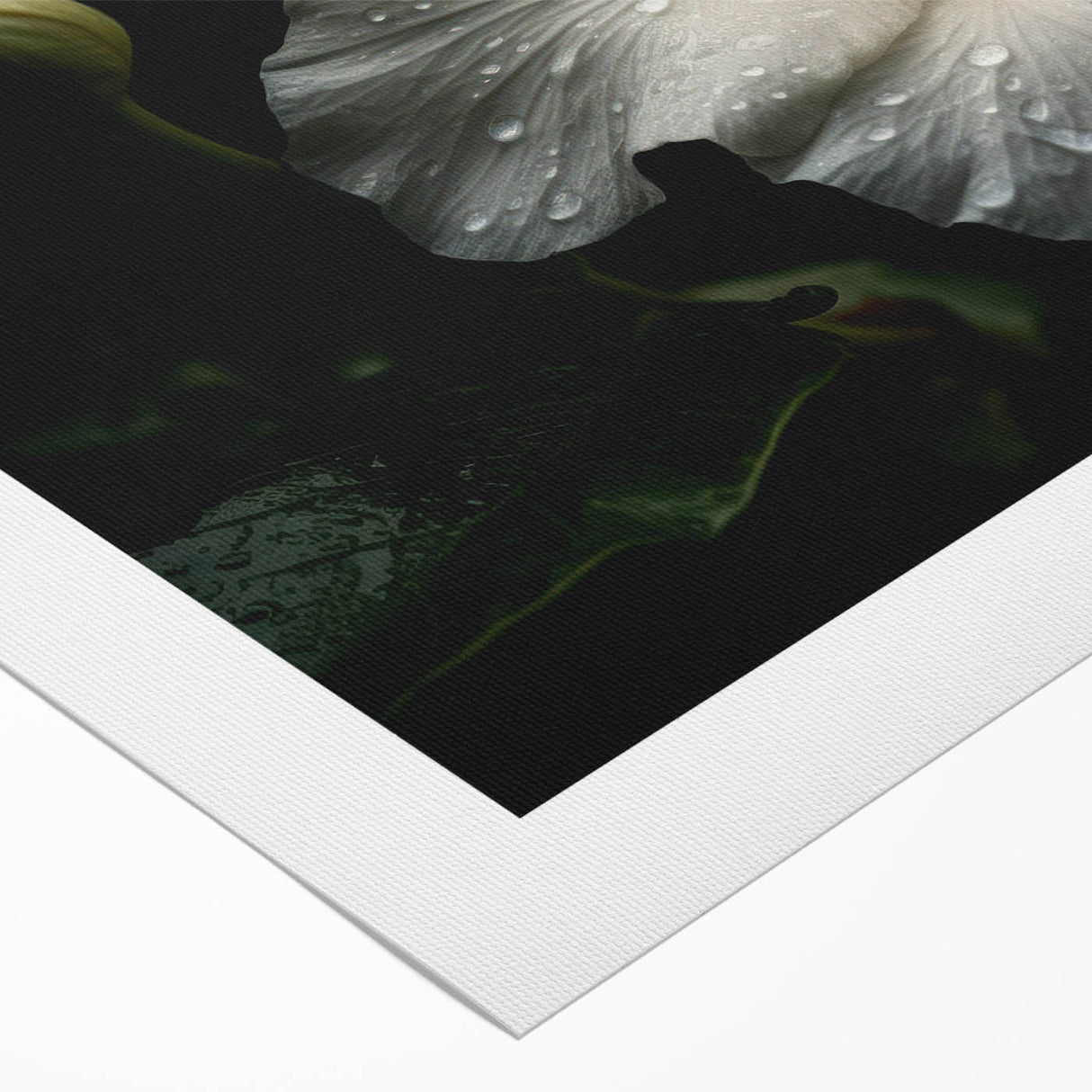 Vibrant hibiscus floral design on rolled canvas wall art, showcasing intricate details and rich colors, ideal for home decor or art enthusiasts. Packaged securely for delivery.