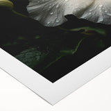 Vibrant hibiscus floral design on rolled canvas wall art, showcasing intricate details and rich colors, ideal for home decor or art enthusiasts. Packaged securely for delivery.