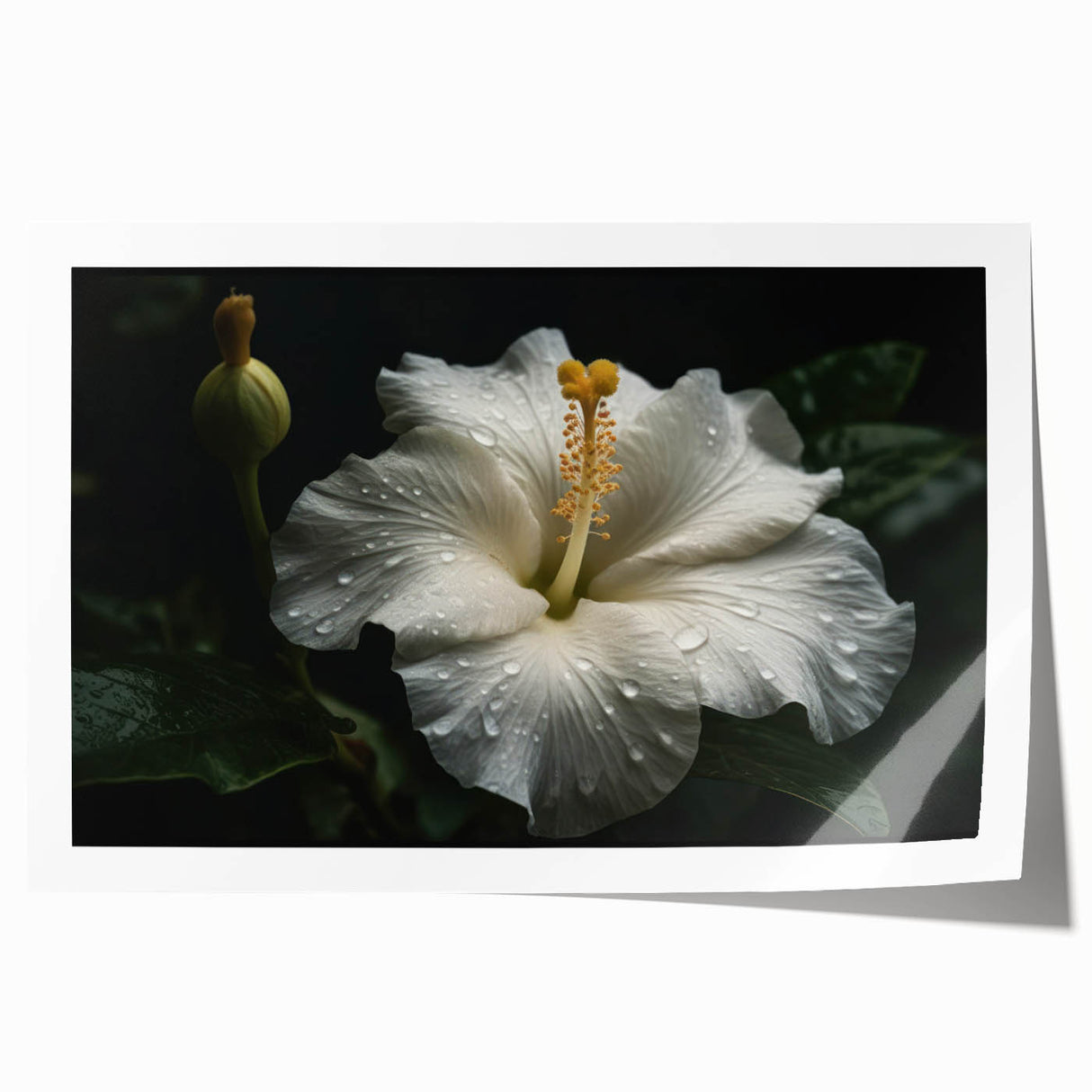 Hibiscus botanical wall art print showcasing vibrant pink and green flowers, perfectly rolled for easy display. Ideal for tropical-themed decor and nature lovers.