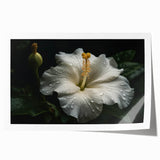 Hibiscus botanical wall art print showcasing vibrant pink and green flowers, perfectly rolled for easy display. Ideal for tropical-themed decor and nature lovers.