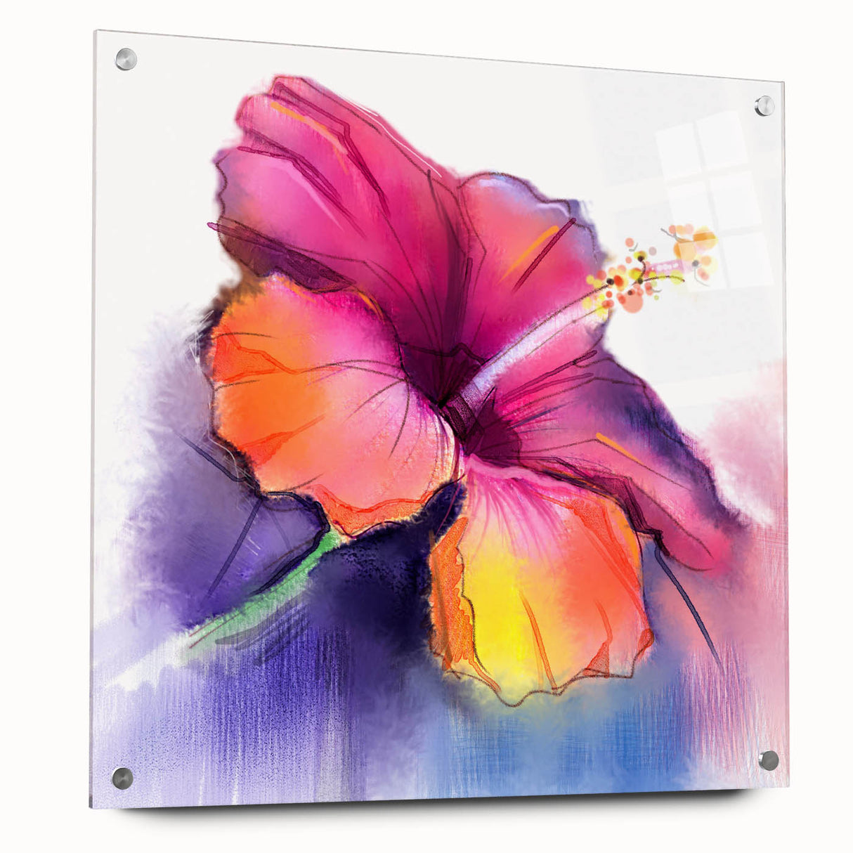 Hibiscus botanical wall art design displayed in acrylic glass, showcasing vibrant colors and intricate details, secured with decorative pins for a modern touch.