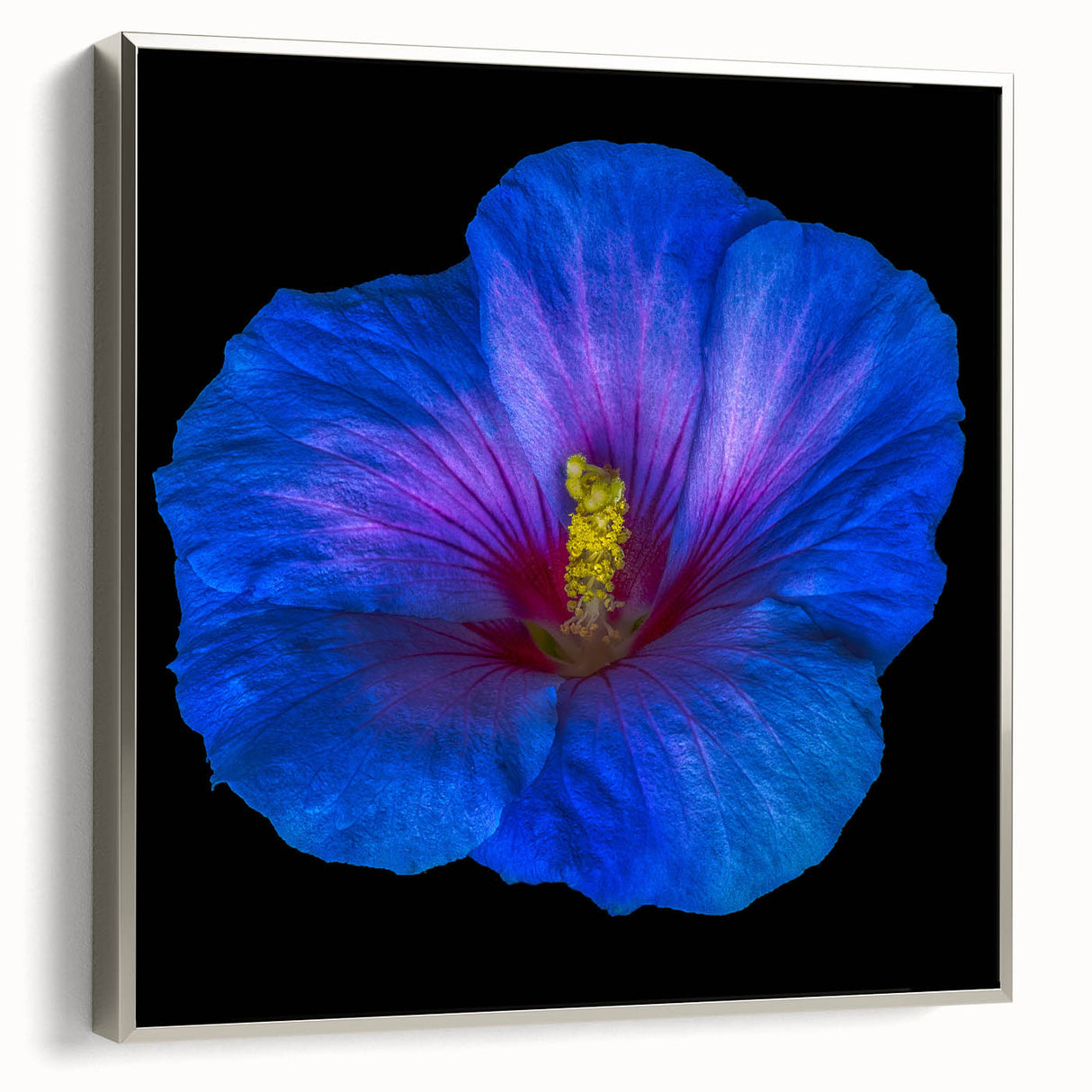 Framed canvas wall art featuring a vibrant hibiscus floral design in soft pinks and greens, elegantly displayed with a silver frame, enhancing any decor.