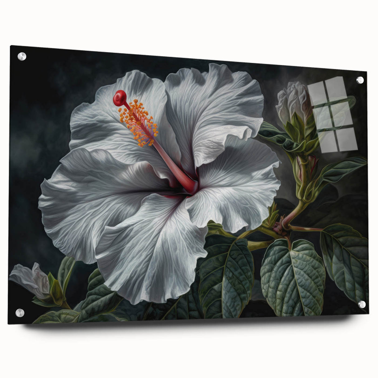 Hibiscus botanical wall art design displayed in acrylic glass, showcasing vibrant colors and intricate details, perfect for enhancing modern home decor.