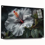 Hibiscus botanical wall art design displayed in acrylic glass, showcasing vibrant colors and intricate details, perfect for enhancing modern home decor.