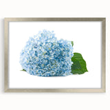 Botanical wall art featuring a beautifully framed hydrangea design in silver, showcasing vibrant colors and intricate floral details, perfect for home decor.