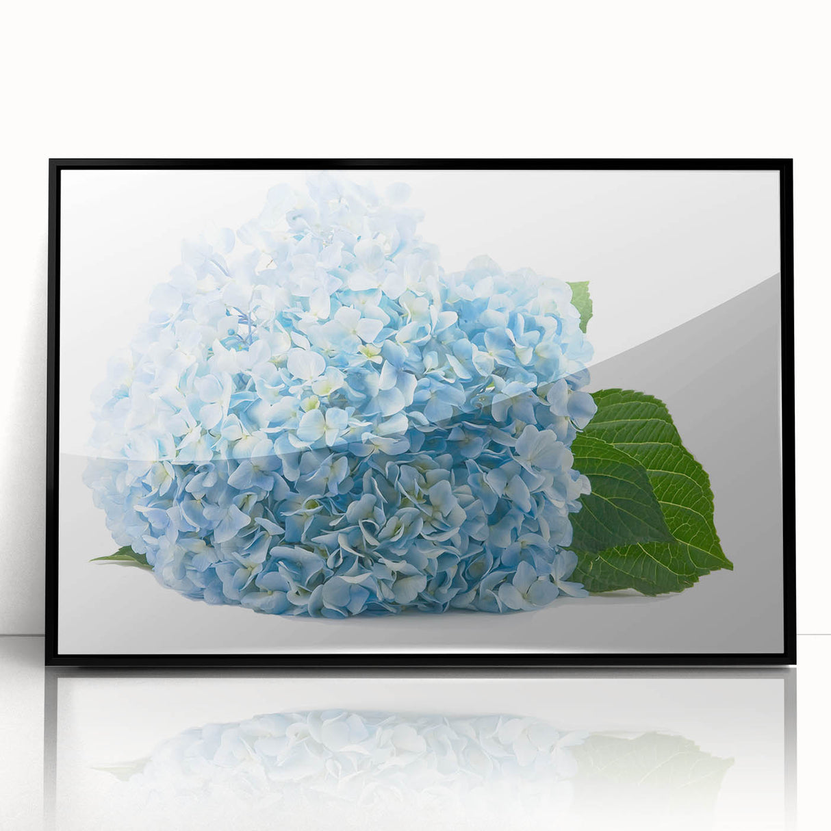 Framed black wall art showcasing a vibrant botanical hydrangea design, featuring rich colors and intricate floral details, perfect for home decor enhancement.