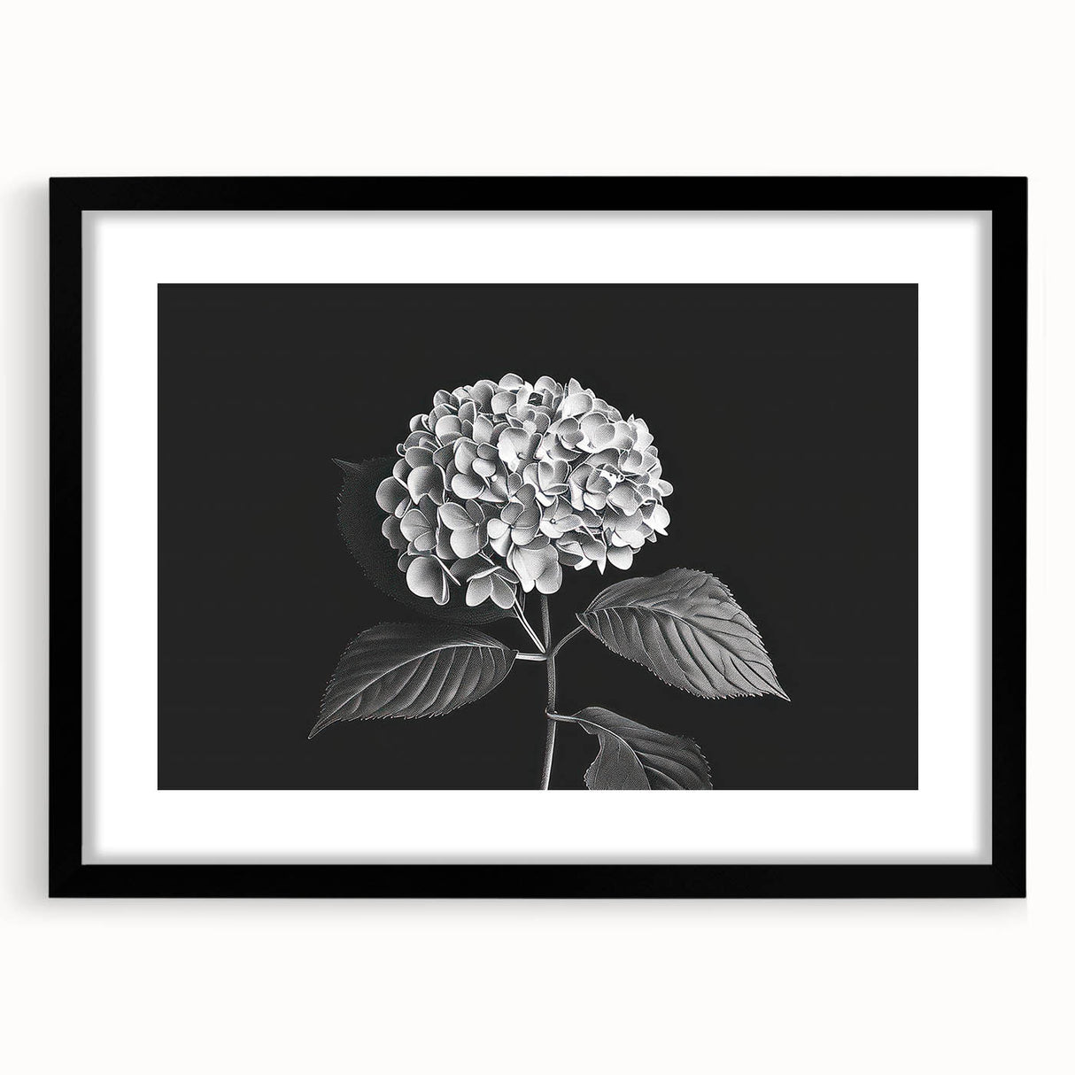 Black-framed wall art featuring a botanical hydrangea design, showcasing vibrant blue and purple flowers against a soft white background, perfect for home decor.