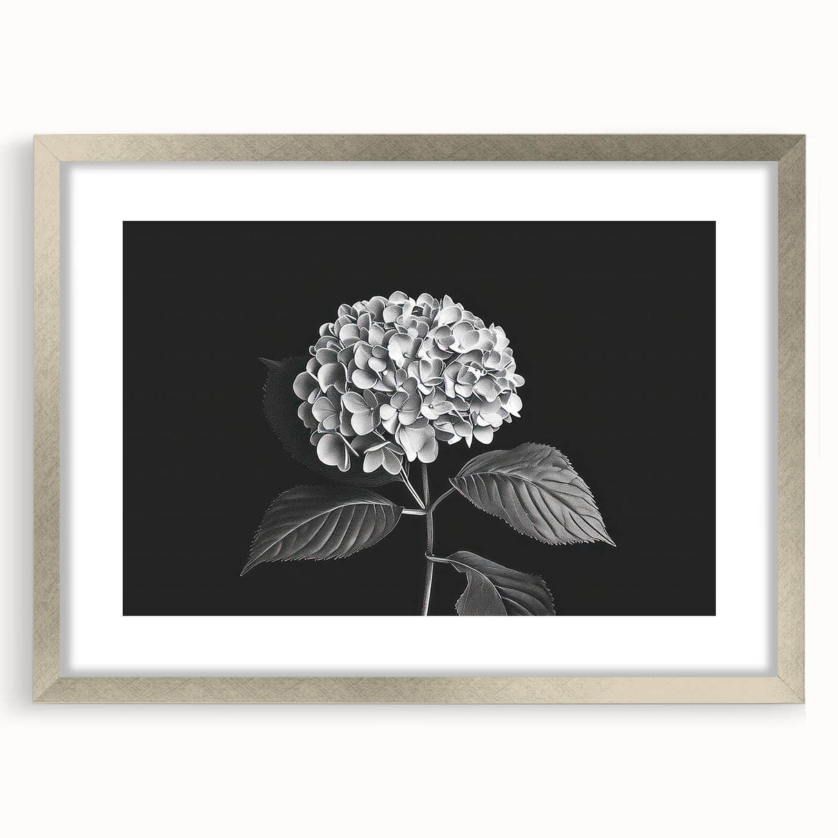 Botanical wall art featuring a hydrangea design in a sleek silver frame with a mat, ideal for home decor. Perfect for adding a touch of elegance to any room.