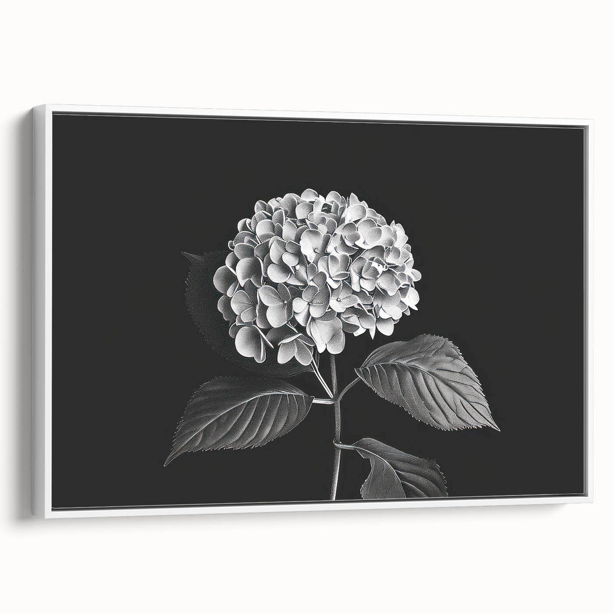Framed canvas wall art showcasing a botanical hydrangea design with vibrant blue and purple flowers set against a white background, ideal for home décor.