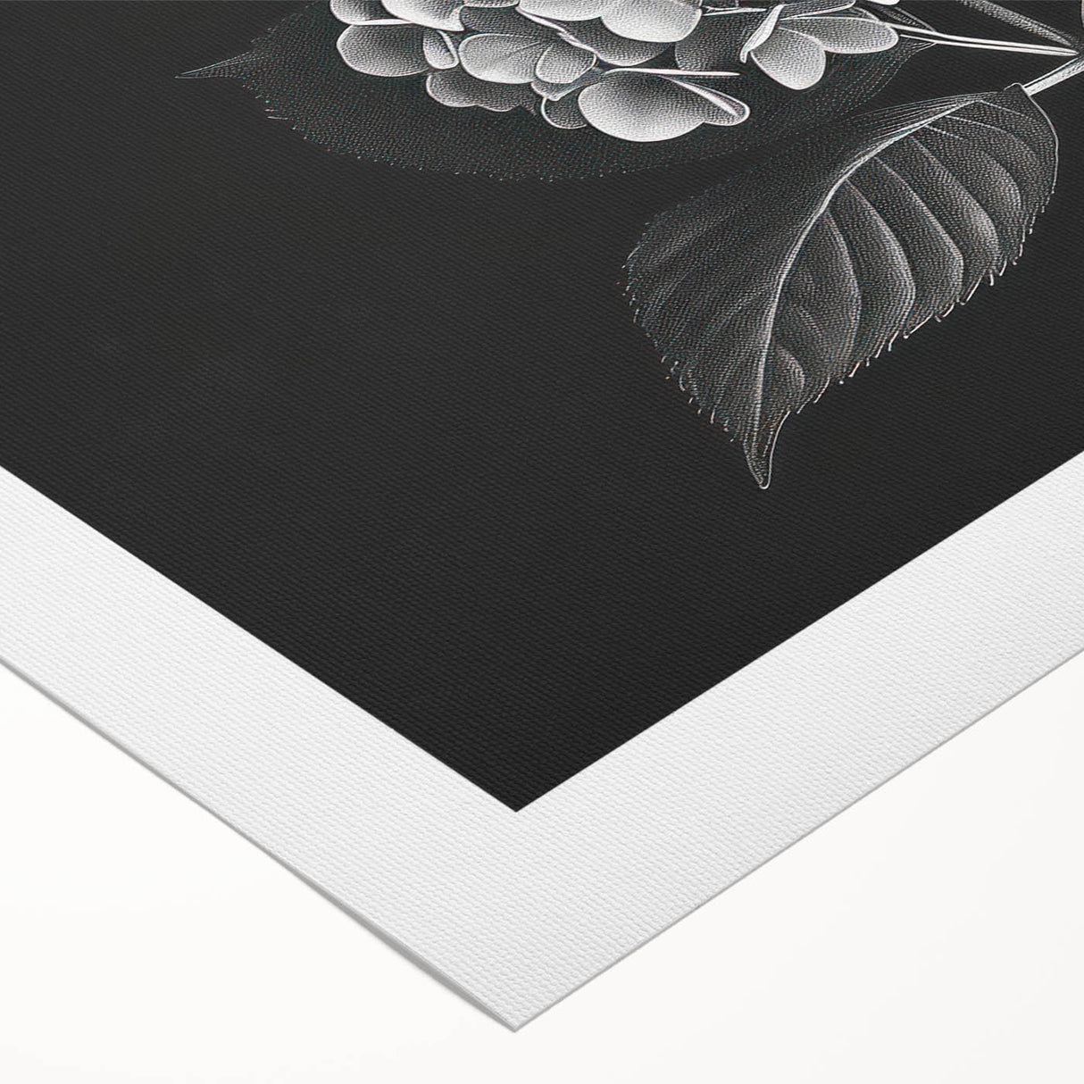 Vibrant botanical wall art design showcasing a cluster of hydrangeas in soft pastel colors, printed on rolled canvas, ideal for home decor or gallery display.