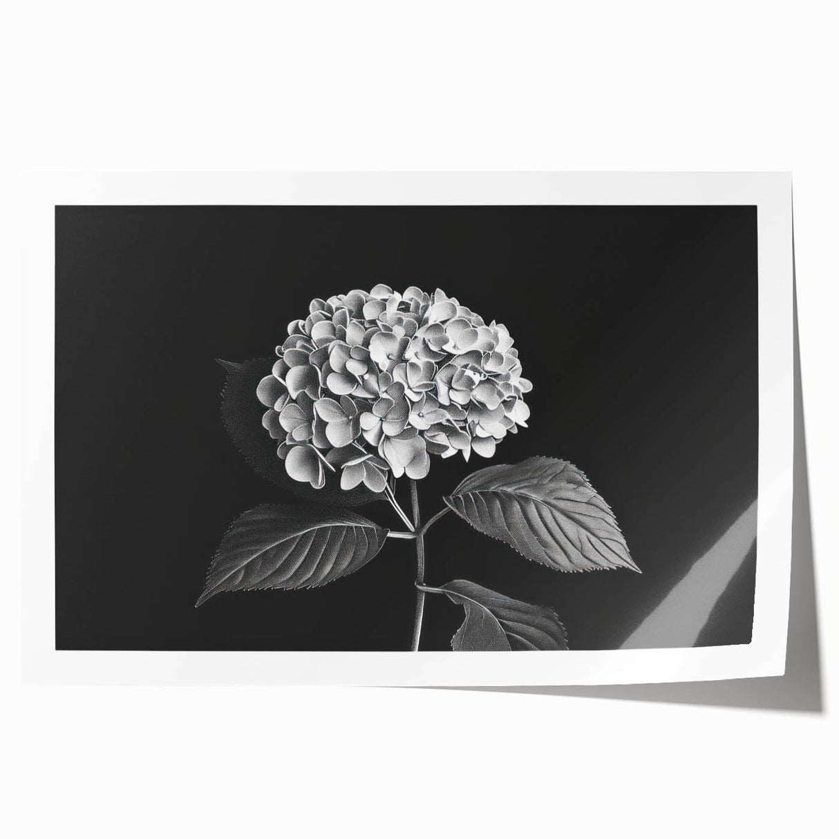 Botanical wall art print featuring vibrant blue and pink hydrangea flowers on a textured background, ideal for home decor and floral enthusiasts.