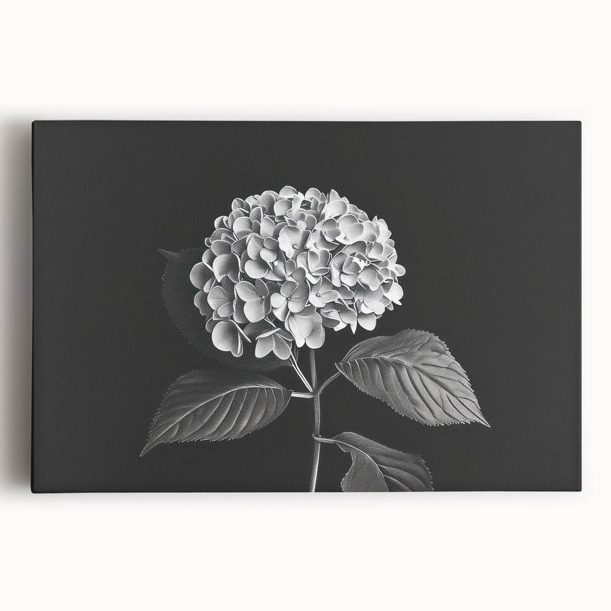 Stretched canvas wall art showcasing a botanical hydrangea design in soft blues and greens, perfect for adding elegance to home decor. Ideal for floral enthusiasts.