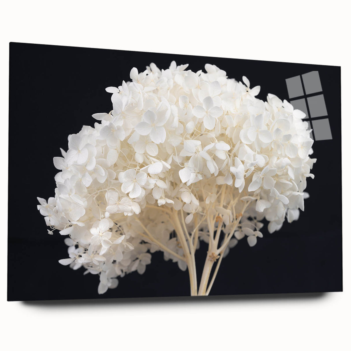 Acrylic wall art featuring a vibrant botanical design of hydrangeas in various shades of blue and pink, elegantly displayed from a side view, showcasing its sleek finish and modern aesthetic. Perfect for enhancing home decor with a touch of nature-inspired elegance.