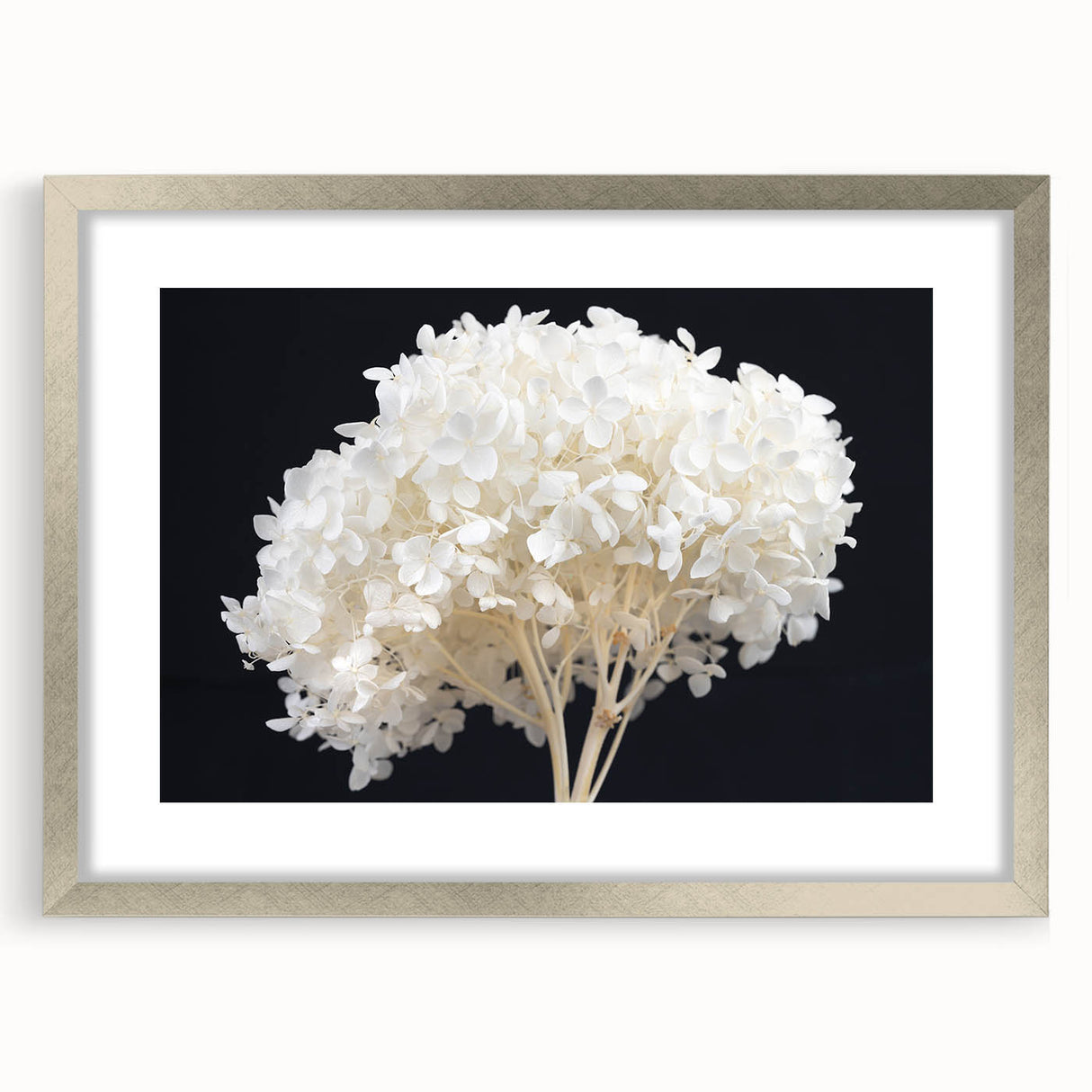 Elegant botanical wall art featuring a hydrangea design in a silver frame with matting, showcasing vibrant colors and intricate floral details, perfect for home decor.