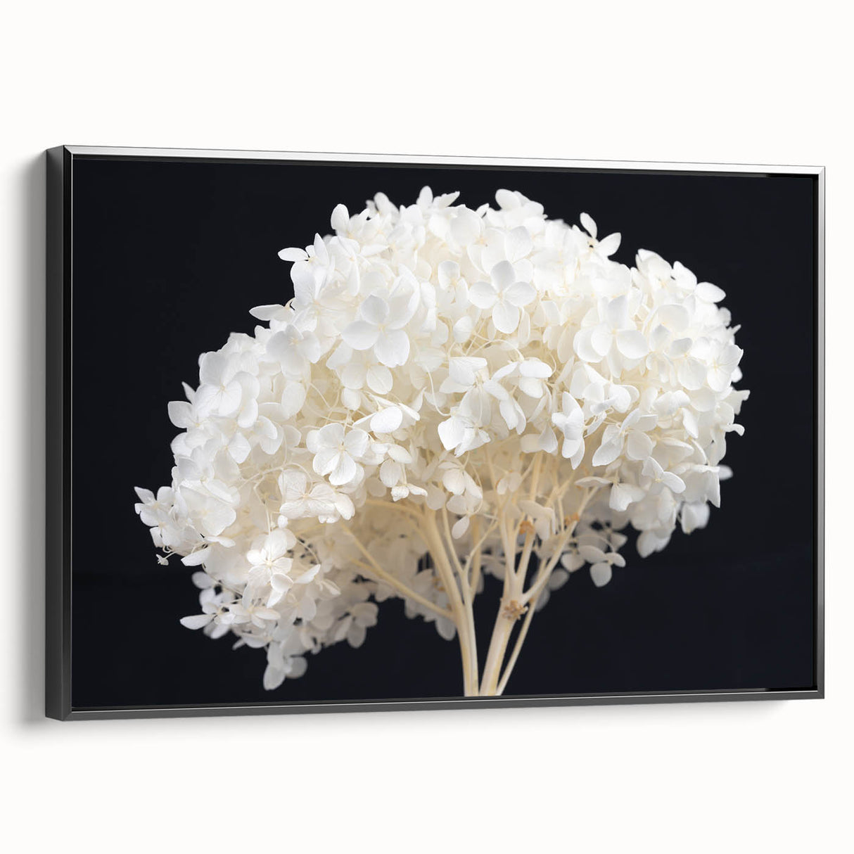 Framed canvas wall art featuring a botanical design of hydrangeas in soft pastel colors, presented in a sleek black frame, ideal for home decor.