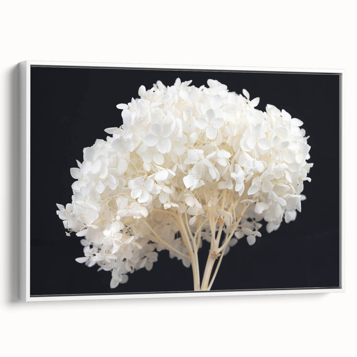 Framed canvas wall art featuring a botanical hydrangea design in soft pastel colors, showcasing intricate floral details and a white frame, perfect for home decor.