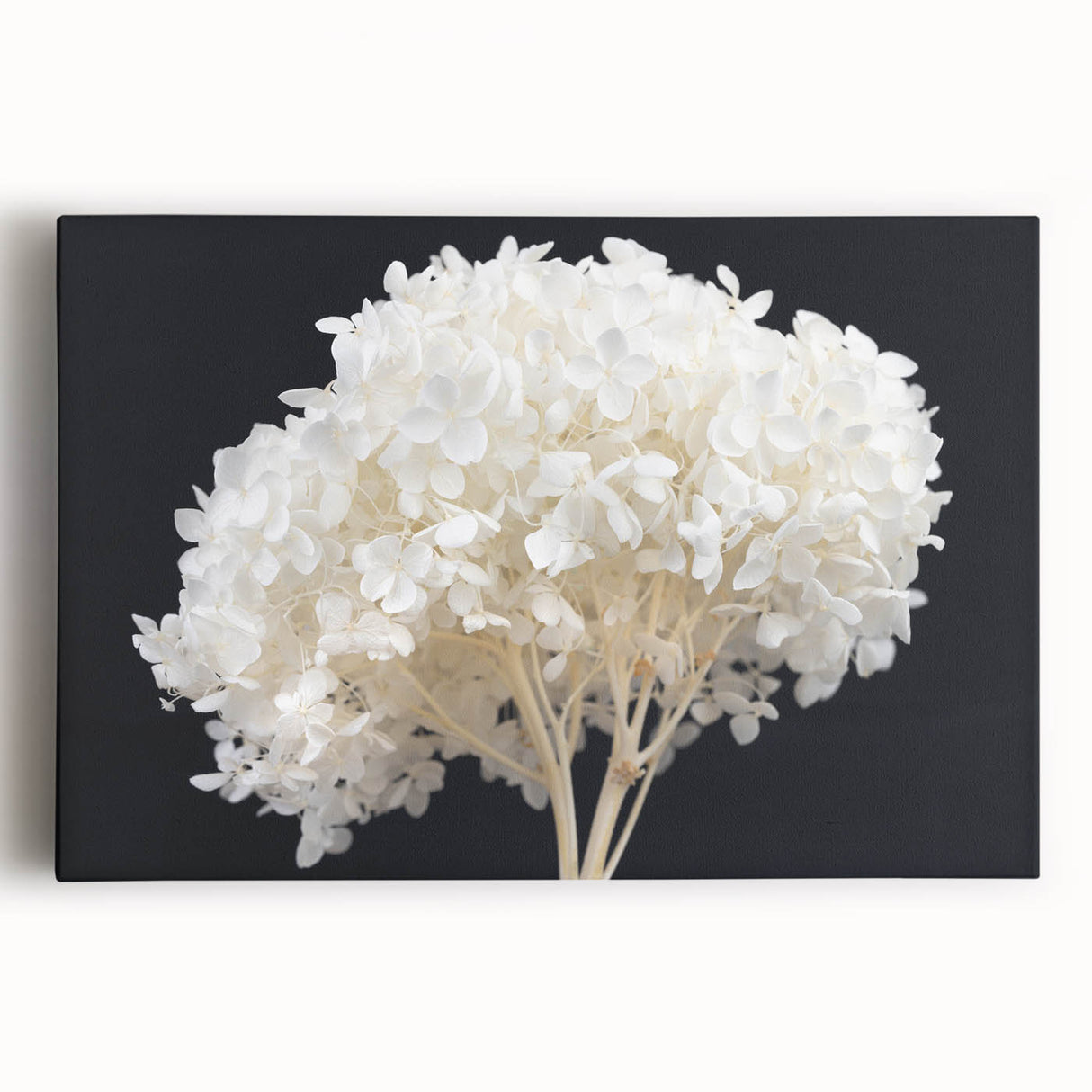 Stretched canvas wall art featuring a botanical hydrangea design in vibrant colors, ideal for enhancing home decor with a natural aesthetic. Perfect for floral enthusiasts.