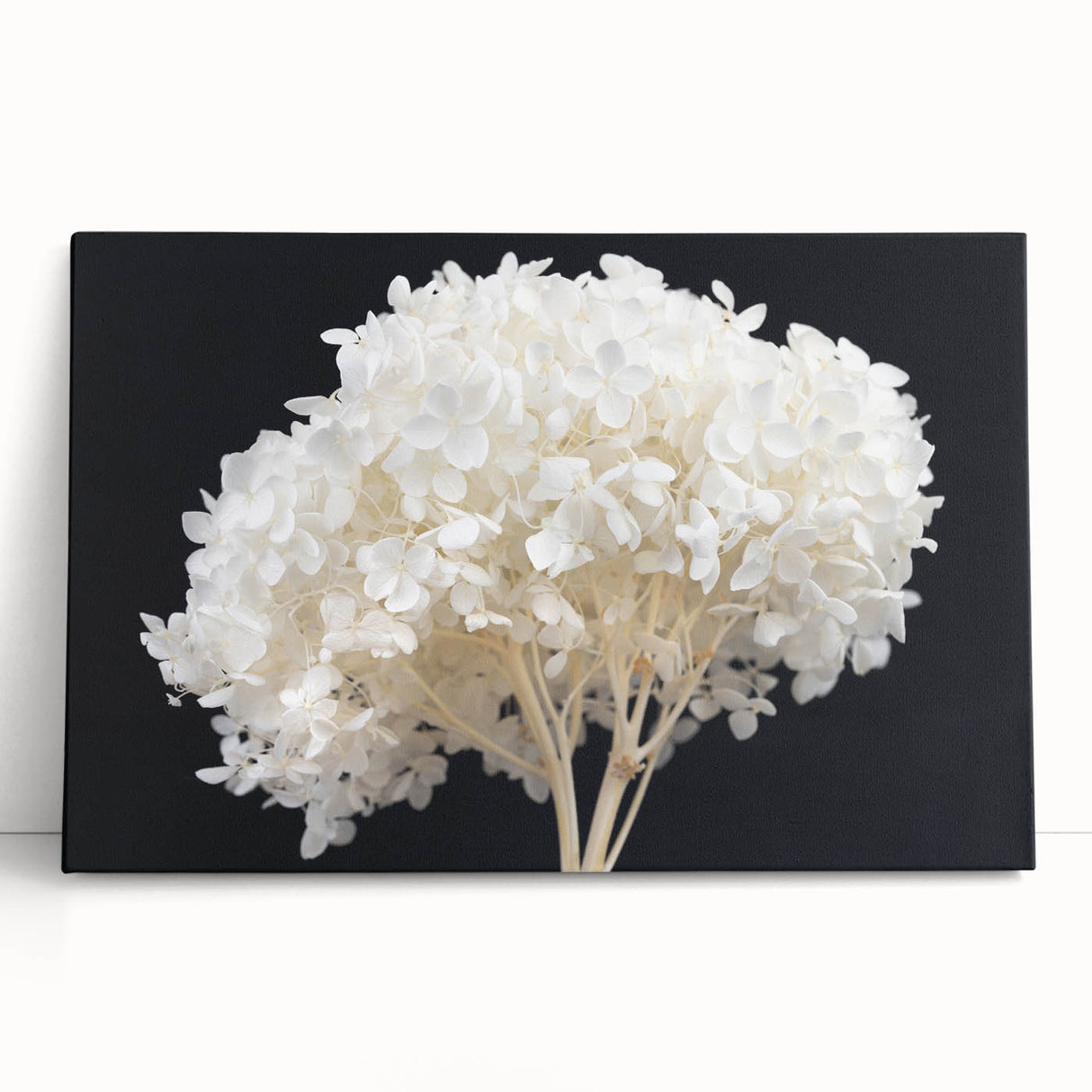 Hydrangea floral wall art design in vibrant blue and white tones, printed on stretched canvas, leaning against a neutral wall, ideal for home decor enhancement.