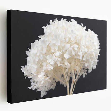 Stretched canvas showcasing a vibrant hydrangea floral design in soft pastel colors, elegantly framed for wall display, ideal for enhancing home decor.