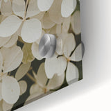 Close-up of a vibrant hydrangea botanical wall art design, showcasing intricate flower details in soft blue and pink hues, presented in sleek acrylic glass for a modern decor touch.